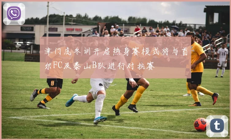 津门虎冬训开启热身赛模式将与首尔FC及泰山B队进行对抗赛